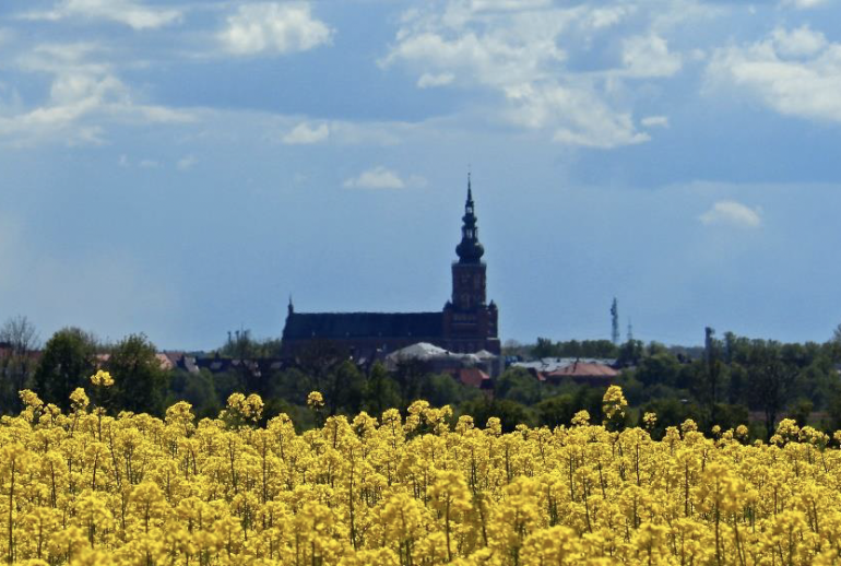 Bildschirmfoto 2024-07-23 um 15.48.30